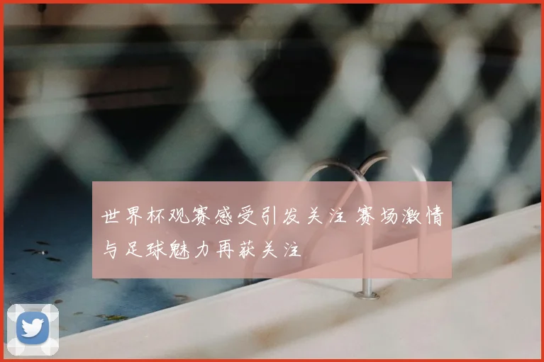 世界杯观赛感受引发关注 赛场激情与足球魅力再获关注