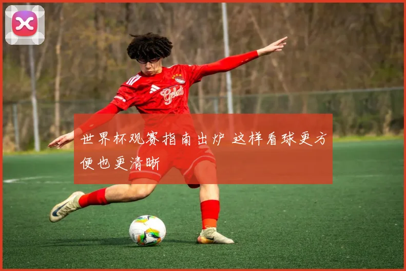 世界杯观赛指南出炉 这样看球更方便也更清晰