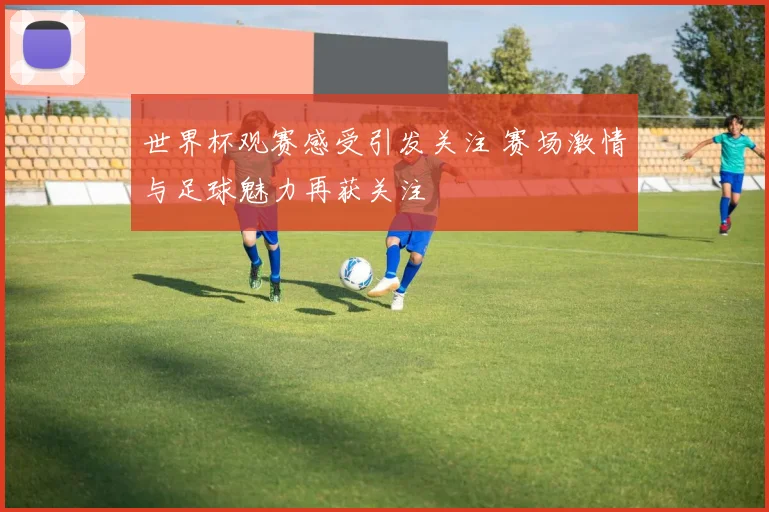 世界杯观赛感受引发关注 赛场激情与足球魅力再获关注