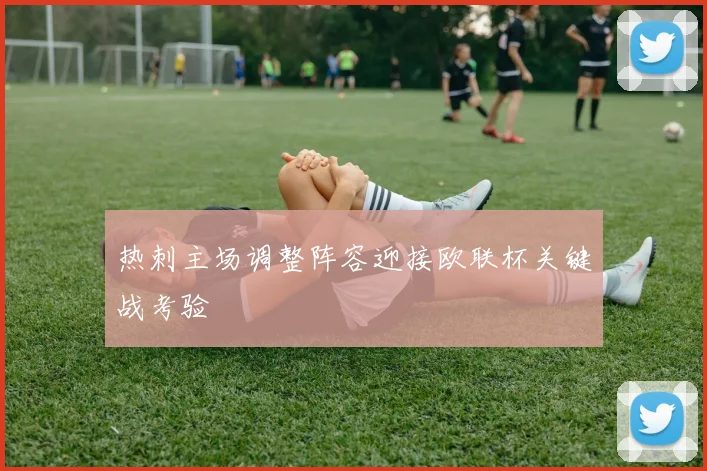 热刺主场调整阵容迎接欧联杯关键战考验