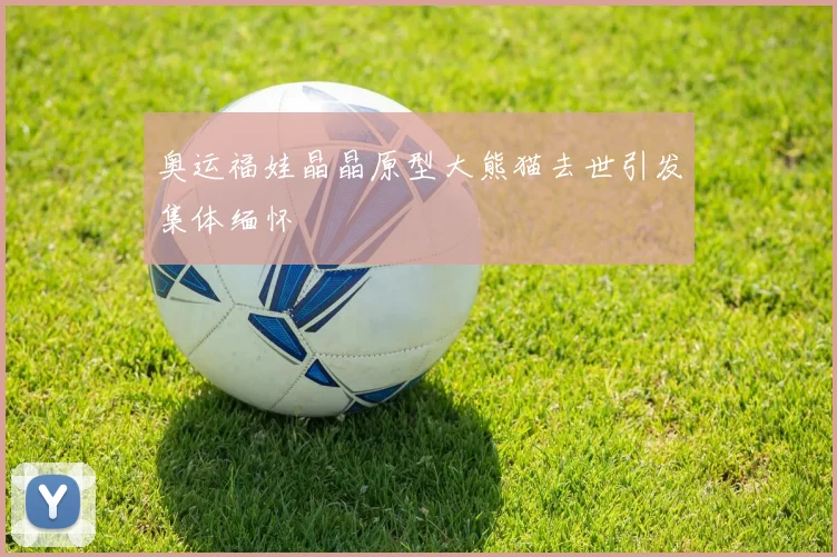 奥运福娃晶晶原型大熊猫去世引发集体缅怀